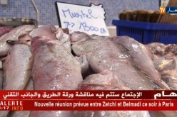 تجارة/ العرض والطلب يتحكمان في بورصة أسعار السمك في عز الصيف