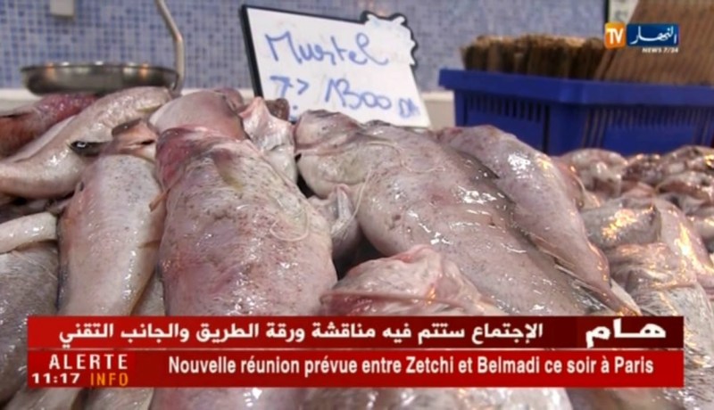 تجارة/ العرض والطلب يتحكمان في بورصة أسعار السمك في عز الصيف