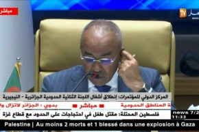 بدوي يعلن عن إنطلاق أشغال اللجنة الثنائية الحدودية الجزائرية – النيجيرية