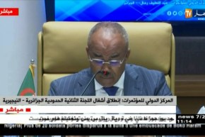 كلمة” نورالدين بدوي” على هامش أشغال اللجنة الثنائية الحدودية الجزائرية – النيجيرية