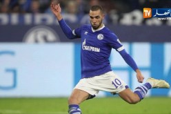 نادي شالك يقرر وضع عقد الدولي الجزائري نبيل بن طالب للبيع