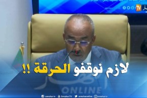 بدوي : ” الهجرة غير الشرعية أصبحت أمرا مقلقا.. يجب التصدي لها !! “