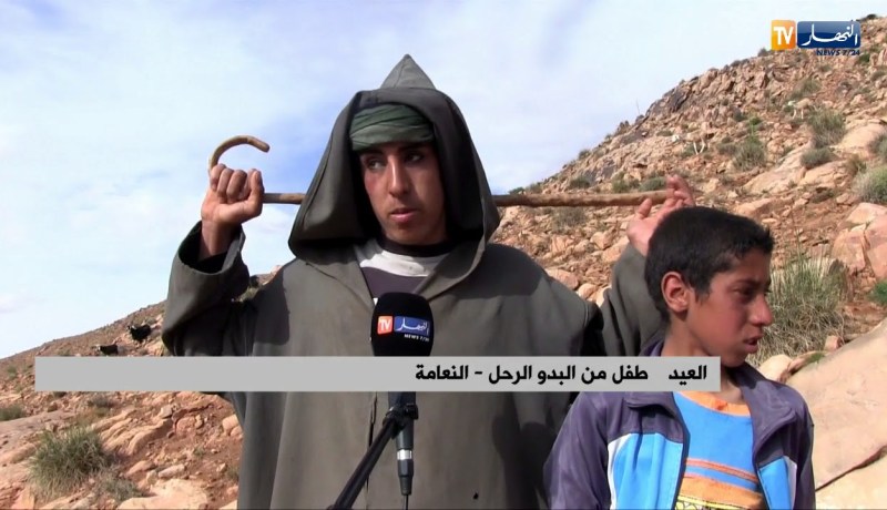 النعامة: أطفال البدو الرحل يقاطعون الدراسة من أجل لقمة العيش