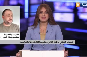 الفلاحة وواحات التمورمهددة بسبب التسرب النفطي بالوادي