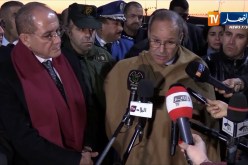 بوعزقي: “الحليب والقمح ما حققناش الإكتفاء الذاتي فيهم..لهذا نشجع الإستثمار في هاتين الشعبتين”