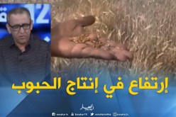 الجزائر تحقق رقما قياسيا في إنتاج الحبوب..إرتفاع بـ63 بالمائة !