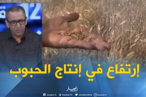 الجزائر تحقق رقما قياسيا في إنتاج الحبوب..إرتفاع بـ63 بالمائة !