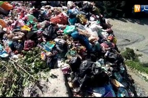 بجاية:  شاهد رمي كتب مدرسية في مفرغة عشوائية على مستوى الطريق الوطني رقم 9