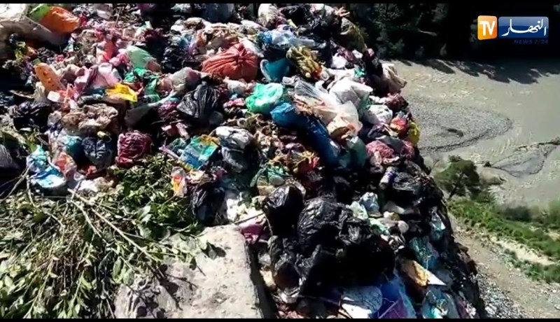 بجاية:  شاهد رمي كتب مدرسية في مفرغة عشوائية على مستوى الطريق الوطني رقم 9