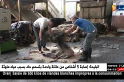 صناعة: هكذا يتم تصدير جلود الأغنام والأبقار من مصنع الرويبة