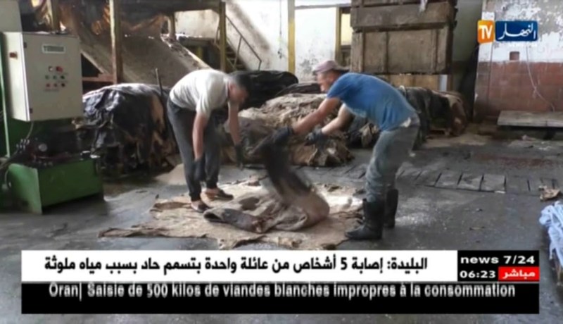 صناعة: هكذا يتم تصدير جلود الأغنام والأبقار من مصنع الرويبة