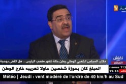رئيس لجنة الشؤون الخارجية بالبرلمان: بوحجة كان على وفاق مع نواب الأغلبية وهذا هو سبب خلافه معهم