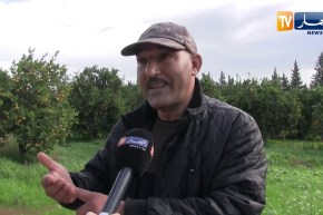 فلاحة: محاصيل زراعية في خطر.. والسبب سوء إستخدام مبيدات الحشرات