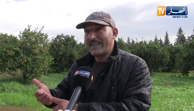 فلاحة: محاصيل زراعية في خطر.. والسبب سوء إستخدام مبيدات الحشرات