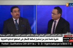 رئيس لجنة الشؤون الخارجية بالبرلمان: بوحجة لن يعود للبرلمان كرئيس له