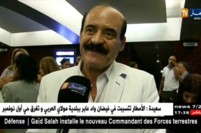 الفنانين السوريين يعبرون عن حبهم وإمتنانهم للجزائر شعبا وحكومة