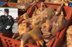 كارثة..حجز أزيد من 50 قنطار من اللحوم البيضاء الفاسدة بالبليدة