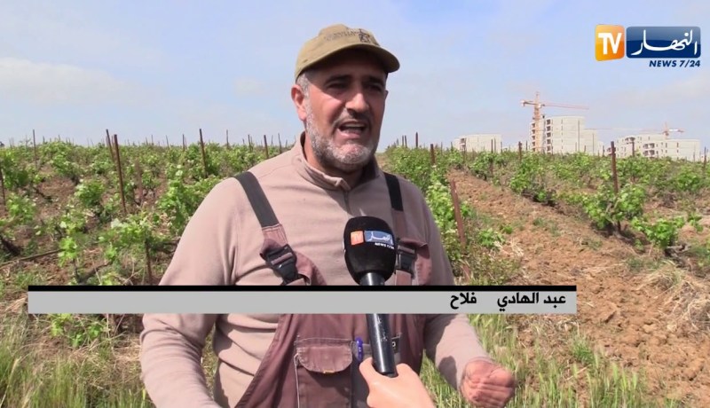 فلاحة: زحف الإسمنت على حساب الأراضي الزراعية .. إلى متى ؟