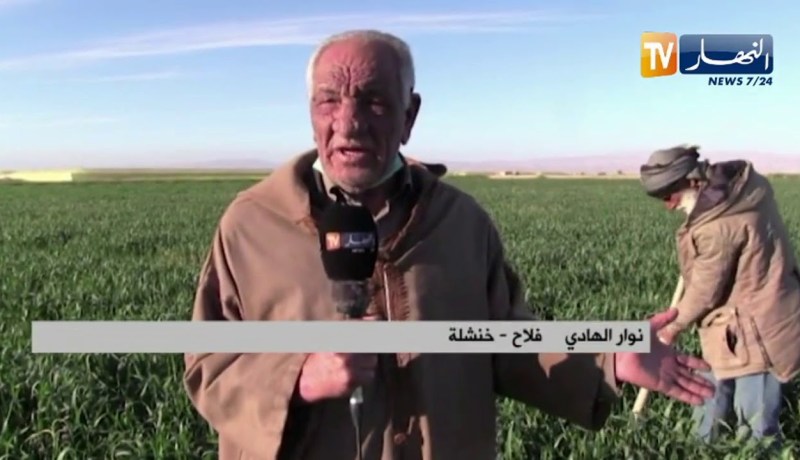 خنشلة: موجة الصقيع تكبد الفلاحين خسائر فادحة بصحراء النمامشة