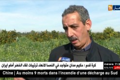 فلاحة : تجديد أشجار الحمضيات …ضرورة لتطوير الإنتاج