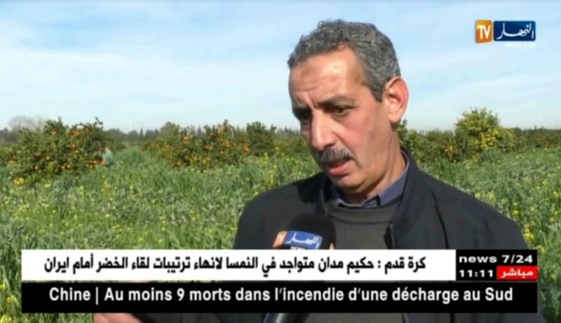 فلاحة : تجديد أشجار الحمضيات …ضرورة لتطوير الإنتاج