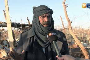 أدرار: مربون وموالون ينفون إشاعات تفشي الأمراض الوبائية وسط الماشية