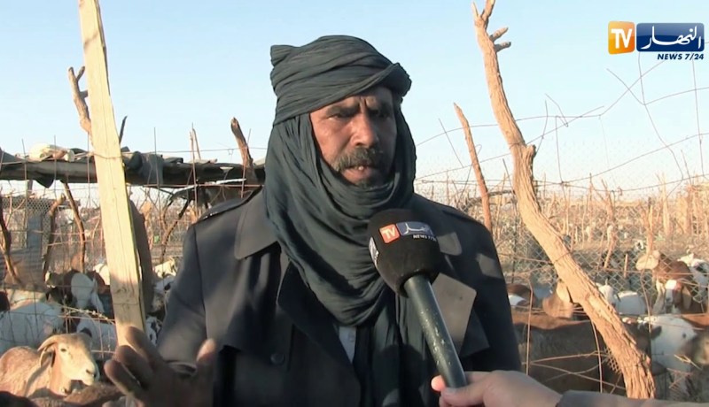 أدرار: مربون وموالون ينفون إشاعات تفشي الأمراض الوبائية وسط الماشية