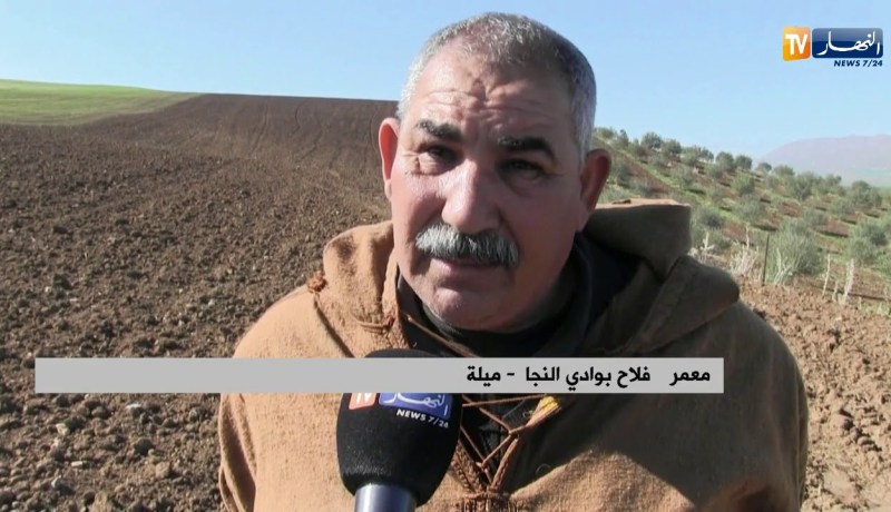 ميلة: ضغط الإنتاج وقلة الحاصدات يؤرق الفلاحين والمديرية تطمئن