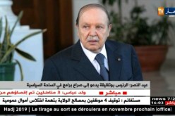 عيد النصر: الرئيس بوتفليقة يدعو إلى صراع برامج في الساحة السياسية