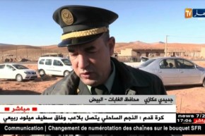 البيض: الحلفاء.. ثروة نباتية بحاجة إلى الإستغلال والإهتمام