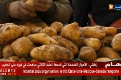تجارة :تصدير المنتجات الفلاحية ….معايير و شروط
