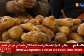 تجارة :تصدير المنتجات الفلاحية ….معايير و شروط