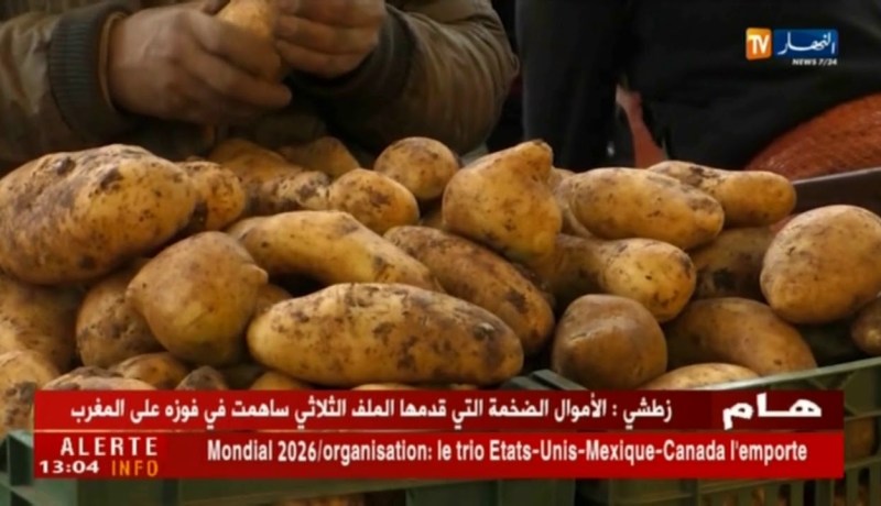 تجارة :تصدير المنتجات الفلاحية ….معايير و شروط