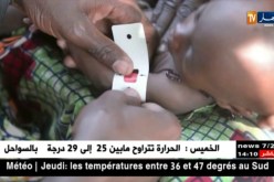 الأمم المتحدة:6.5 مليون شخص يعانون أزمة غذاء في 6 دول مجاورة للجزائر
