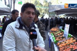 فلاحة: إستغلال الأراضي الغابية في غرس الأشجار المثمرة..أين وصل المشروع