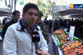 فلاحة: إستغلال الأراضي الغابية في غرس الأشجار المثمرة..أين وصل المشروع