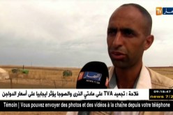 سعيدة: موال يتعرض للسطو باالأسلحة البيضاء من طرف عصابة سرقة المواشي