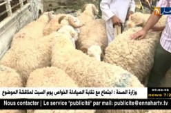 آراء المواطنين حول أسعار الأضاحي بسوق بودواو – بومرداس