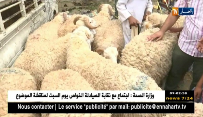 آراء المواطنين حول أسعار الأضاحي بسوق بودواو – بومرداس