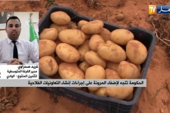 المرحلة الأخيرة لإنتاج التمور .. الوضع البيئي بخسائر فادحة