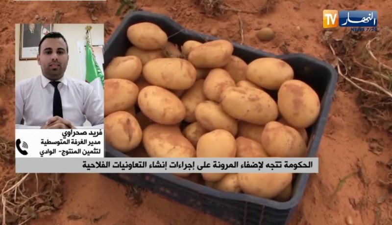 المرحلة الأخيرة لإنتاج التمور .. الوضع البيئي بخسائر فادحة