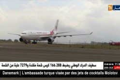 طائرة للجوية الجزائرية تعود بعد إصطداما بسرب من الطيور