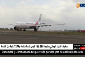 طائرة للجوية الجزائرية تعود بعد إصطداما بسرب من الطيور