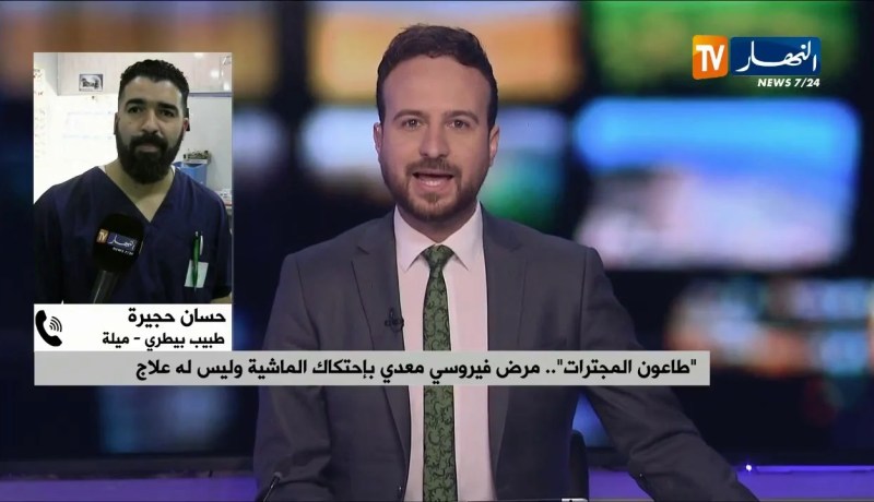 بسبب “طاعون المجترات”.. والي البيض يغلق أسواق الماشية احتياطا