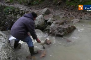 سوق أهراس: مناطق معزولة بسبب الإضطراب الجوي.. السكان يستغيثون