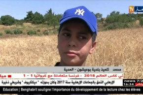 المدية: أطفال يقضون العطلة في الحقول لمساعدة أهاليهم في عملية الحصاد