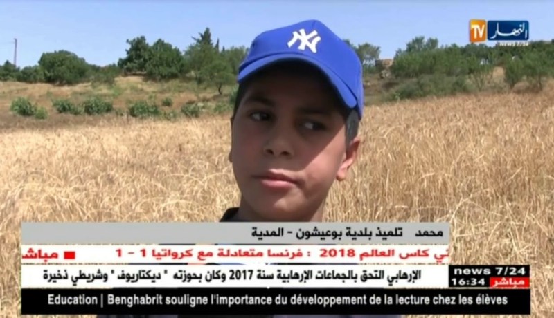 المدية: أطفال يقضون العطلة في الحقول لمساعدة أهاليهم في عملية الحصاد