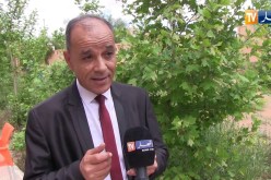 الأغواط: بريد الجزائر يحضر لإطلاق خدمة “حوالتك”