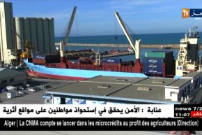 إرتفاع مقتنيات الجزائر من القمح بقرابة 4 بالمائة في آخر كوطة بداية من الشهر الجاري