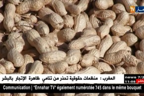 ورقلة/ وفرة في إنتاج الخضر يقابله نقص الإمكانيات و الدعم